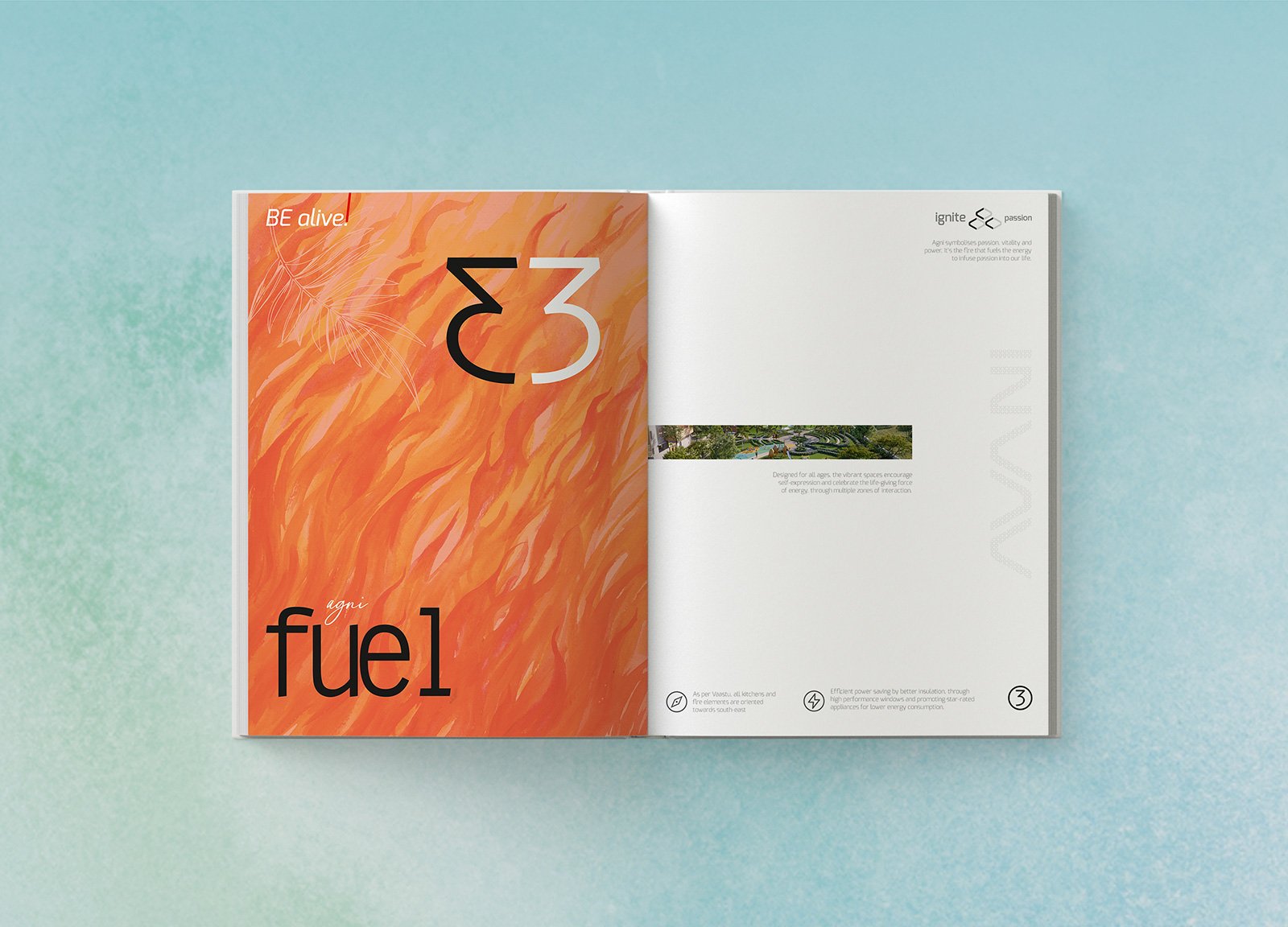 Page-6