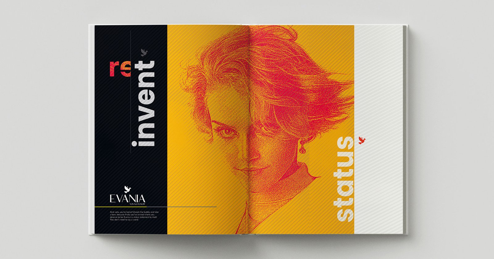 brochure_in_5